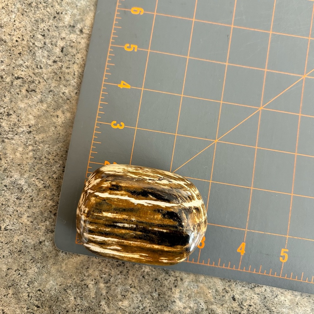 🌲 Petrified Wood Crystal Specimen Agatized, Western Decor, NWOT - Picture 3 of 6